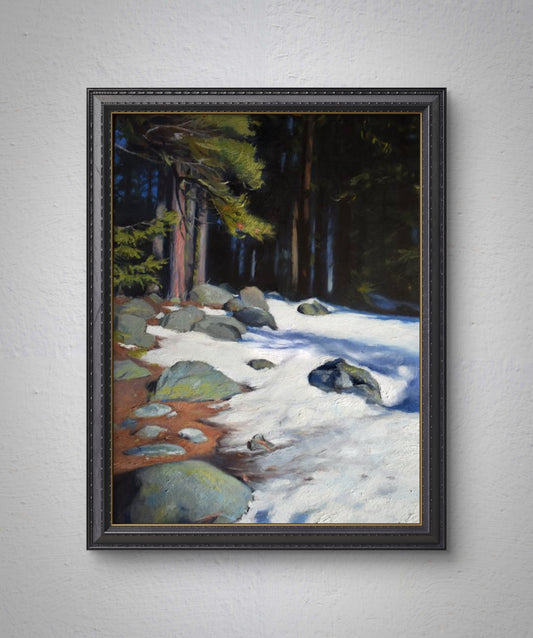 "Lake Wenatchee Trees"